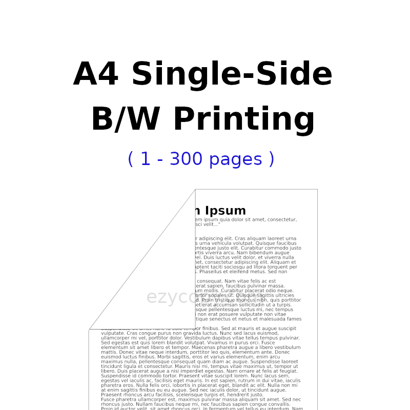 A4 Single-Side B/W Printing (1 - 300 pages)